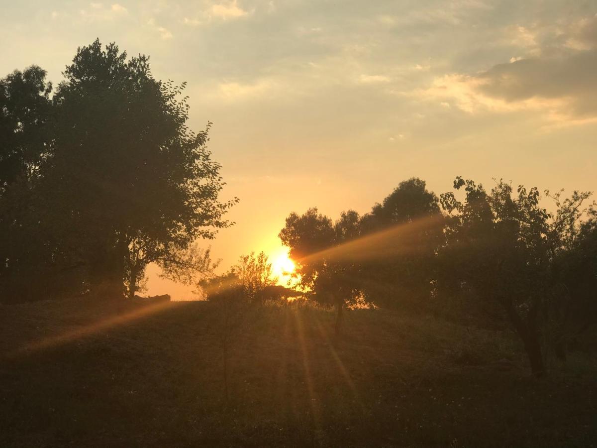 L villetta dei sogni nel Parco Roma Esterno foto